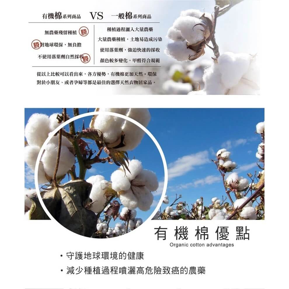 台灣製~有機棉【MORINO摩力諾 有機棉歐色緞條浴巾】浴巾 100％純棉 無農藥棉花 瞬間吸水【LD593】