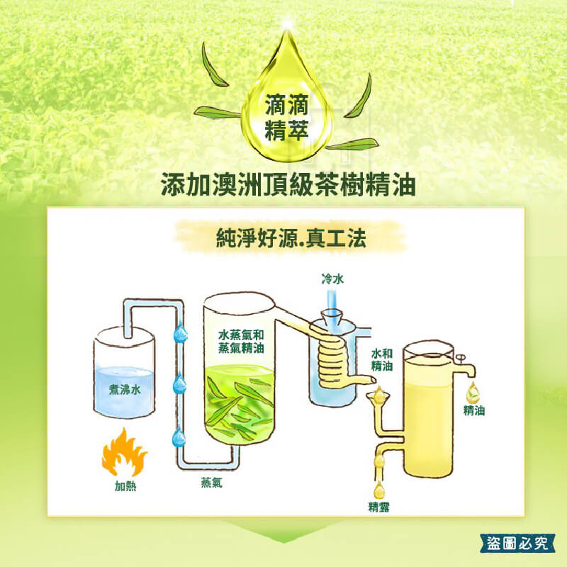 【茶樹莊園 茶樹抗菌洗手慕斯 500g】溫和 抗菌 洗手乳
