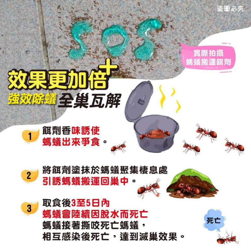 台灣製造【奧除 除蟻滅劑】